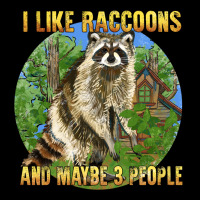 I Like Raccoons And 3 People Heavy Core Tee | Teevron