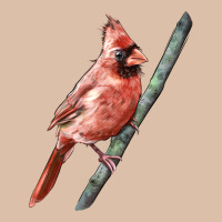 Northern Cardinal Bird Urban Heavy Tee | Teevron