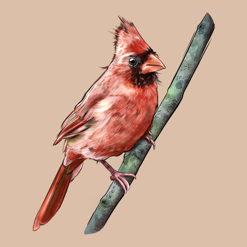 Northern Cardinal Bird Urban Heavy Tee by LillyAllenDesigns | Teevron