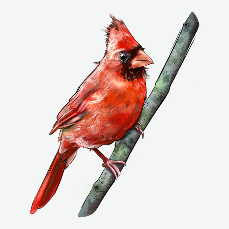 Northern Cardinal Bird Urban Heavy Tee by LillyAllenDesigns | Teevron