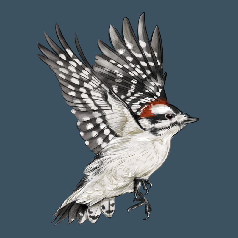 Flying Downy Woodpecker Urban Heavy Tee by LillyAllenDesigns | Teevron