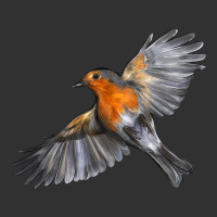 Flying American Robin Urban Heavy Tee | Teevron