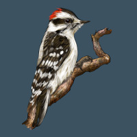 Downy Woodpecker Urban Heavy Tee | Teevron