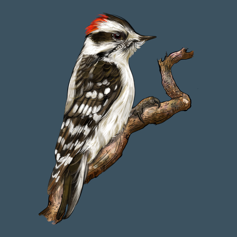 Downy Woodpecker Urban Heavy Tee by LillyAllenDesigns | Teevron