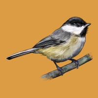 Black Capped Chickadee Urban Heavy Tee | Teevron