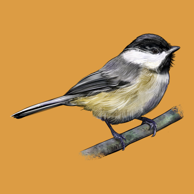 Black Capped Chickadee Urban Heavy Tee by LillyAllenDesigns | Teevron