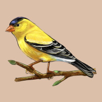 American Goldfinch Urban Heavy Tee | Teevron