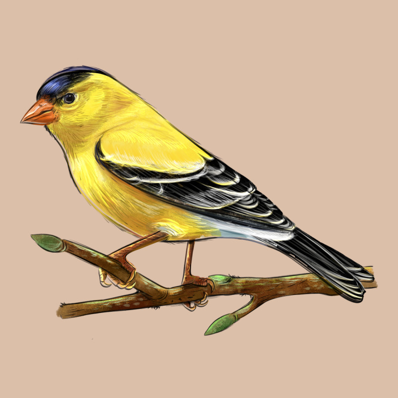 American Goldfinch Urban Heavy Tee by LillyAllenDesigns | Teevron