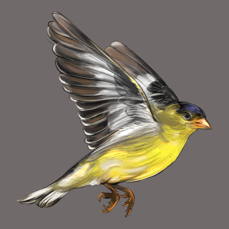 Flying American Goldfinch Urban Heavy Tee by LillyAllenDesigns | Teevron
