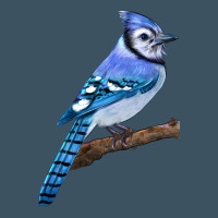 Blue Jay Bird Urban Heavy Tee | Teevron