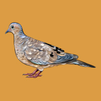 American Dove Urban Heavy Tee | Teevron