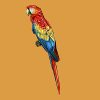 Scarlet Macaw Parrot Urban Heavy Tee | Teevron