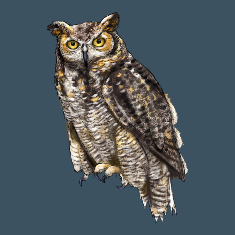 Great Horned Owl Urban Heavy Tee by LillyAllenDesigns | Teevron