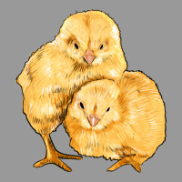 Chicks Vintage Hoodie | Teevron