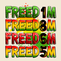 Freedom 1865 Ladies Tee | Teevron