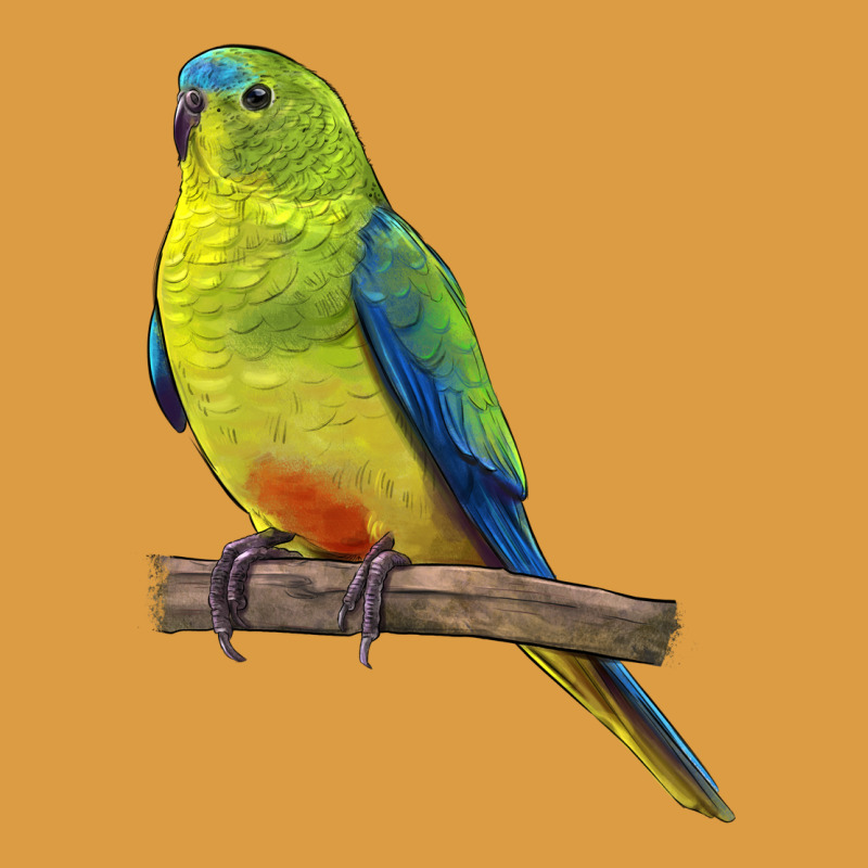 Neophema Parrot Urban Heavy Tee by LillyAllenDesigns | Teevron