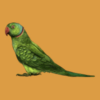 Ring Necked Parakeet Urban Heavy Tee | Teevron