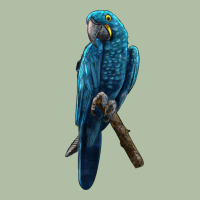 Hyacinth Macaw Urban Heavy Tee | Teevron