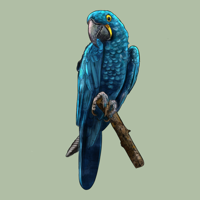 Hyacinth Macaw Urban Heavy Tee by LillyAllenDesigns | Teevron