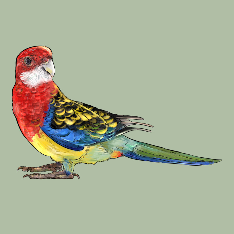 Rosella Bird Urban Heavy Tee by LillyAllenDesigns | Teevron