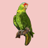 New Zealand Paraket Parrot Urban Heavy Tee | Teevron