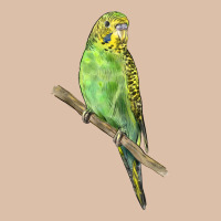Budgeriar Bird Parrot Urban Heavy Tee | Teevron