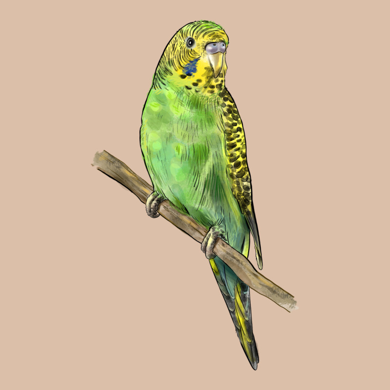 Budgeriar Bird Parrot Urban Heavy Tee by LillyAllenDesigns | Teevron