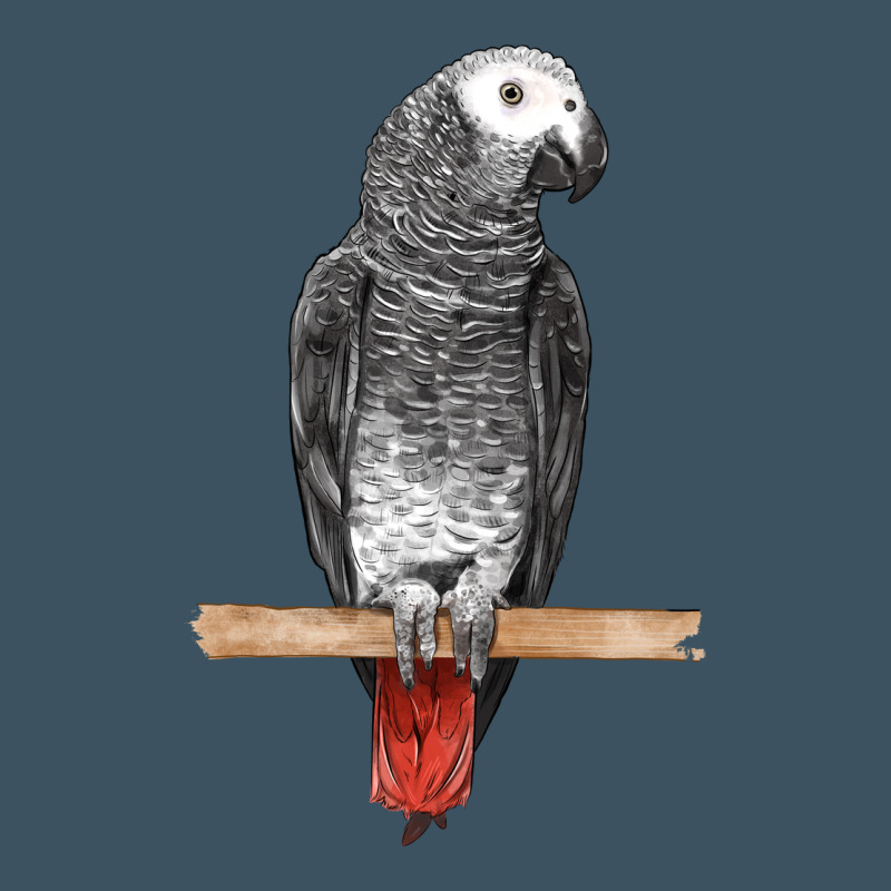 African Gray Parrot Bird Urban Heavy Tee by LillyAllenDesigns | Teevron