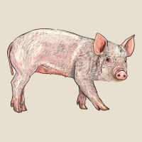 American Yorkshire Pig  Baby Urban Heavy Tee | Teevron