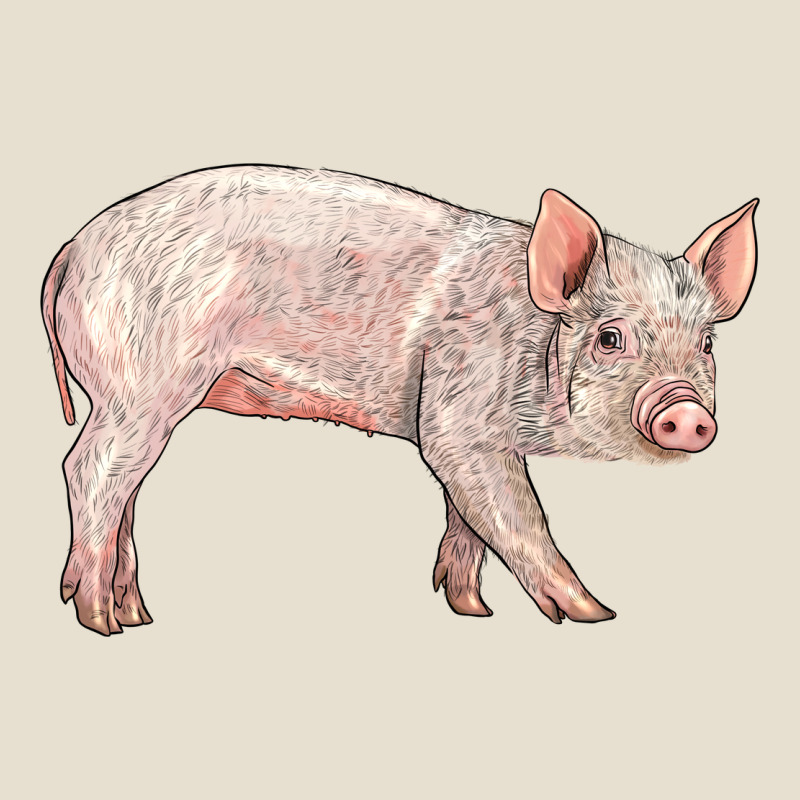 American Yorkshire Pig  Baby Urban Heavy Tee by LillyAllenDesigns | Teevron