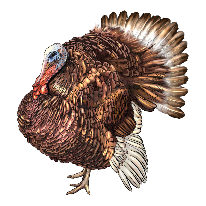 Bourbon Red Turkey Urban Heavy Tee by LillyAllenDesigns | Teevron