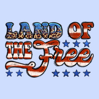 Land Of The Free America Urban Heavy Tee | Teevron