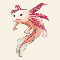 Axolotl Vintage Tee | Teevron