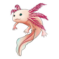 axolotl | Teevron