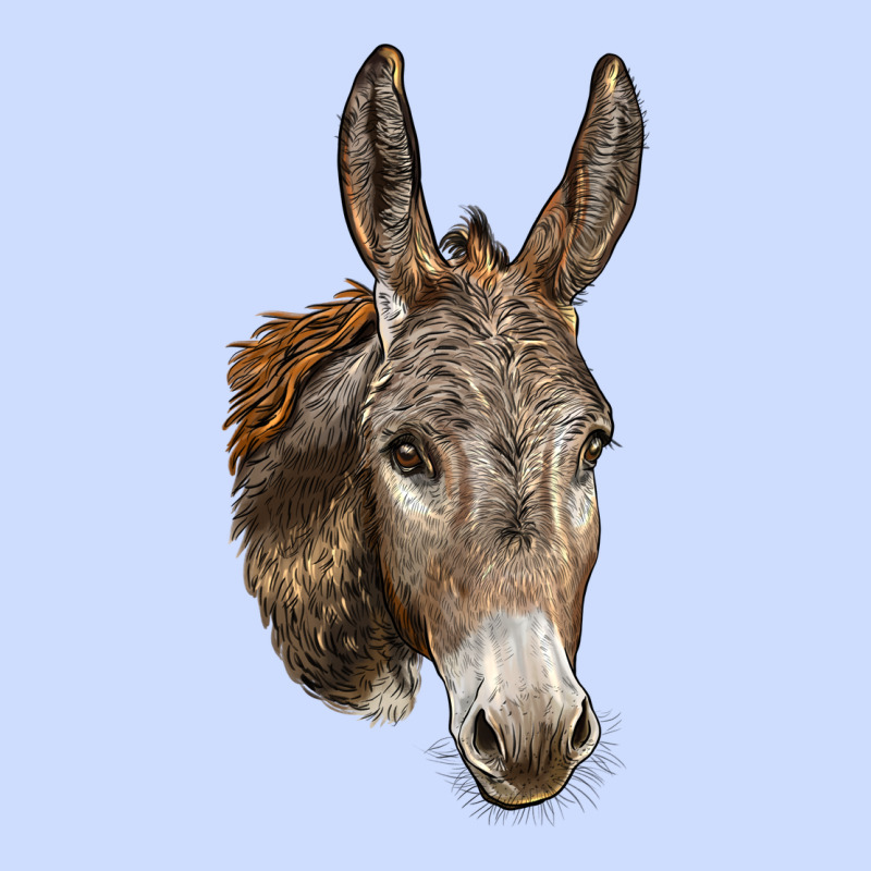 Andalusian Donkey Face Urban Heavy Tee by LillyAllenDesigns | Teevron