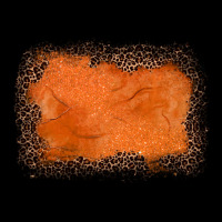 Gemstone Orange Leopard Background Long Sleeve Tee | Teevron