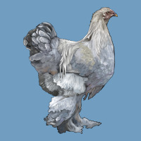 Brahma Chicken Urban Heavy Tee | Teevron