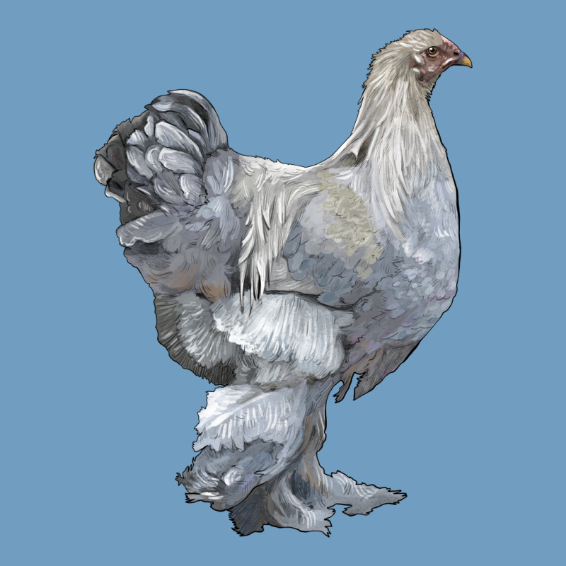 Brahma Chicken Urban Heavy Tee by LillyAllenDesigns | Teevron