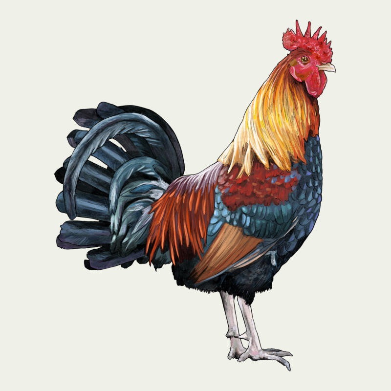 New Hampshire Red Rooster Urban Heavy Tee by LillyAllenDesigns | Teevron