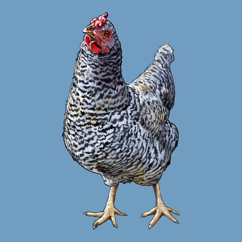 Dominique Chicken Urban Heavy Tee by LillyAllenDesigns | Teevron