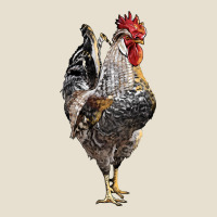 Cream Legbar Rooster Urban Heavy Tee | Teevron