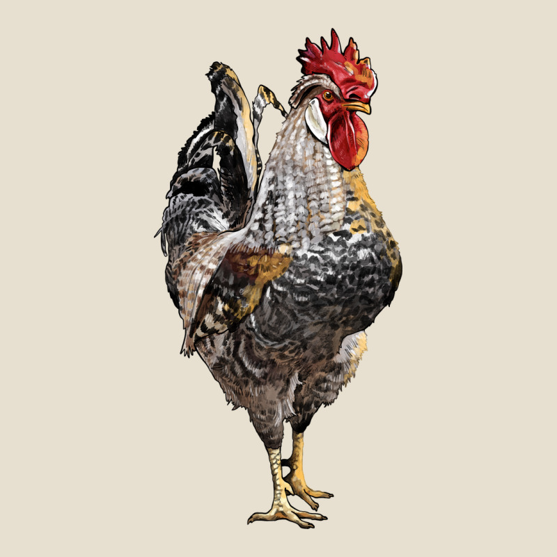 Cream Legbar Rooster Urban Heavy Tee by LillyAllenDesigns | Teevron