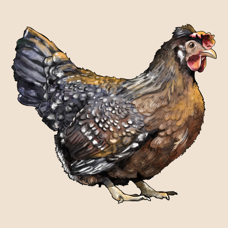 Cream Legbar Chicken Urban Heavy Tee by LillyAllenDesigns | Teevron