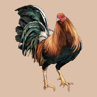 American Game Rooster Urban Heavy Tee | Teevron