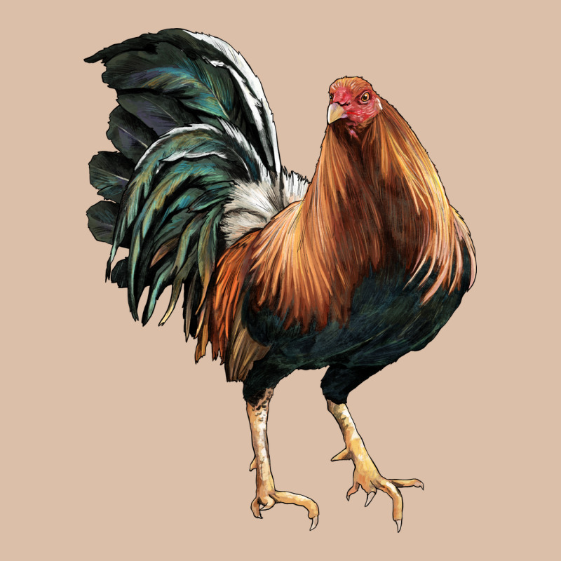 American Game Rooster Urban Heavy Tee by LillyAllenDesigns | Teevron