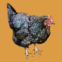 Jersey Giant Chicken Urban Heavy Tee | Teevron