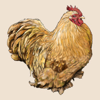 Cochin Rooster Urban Heavy Tee | Teevron