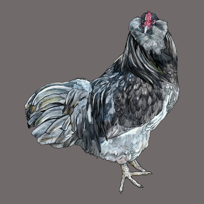 Ameraucana Rooster Urban Heavy Tee by LillyAllenDesigns | Teevron