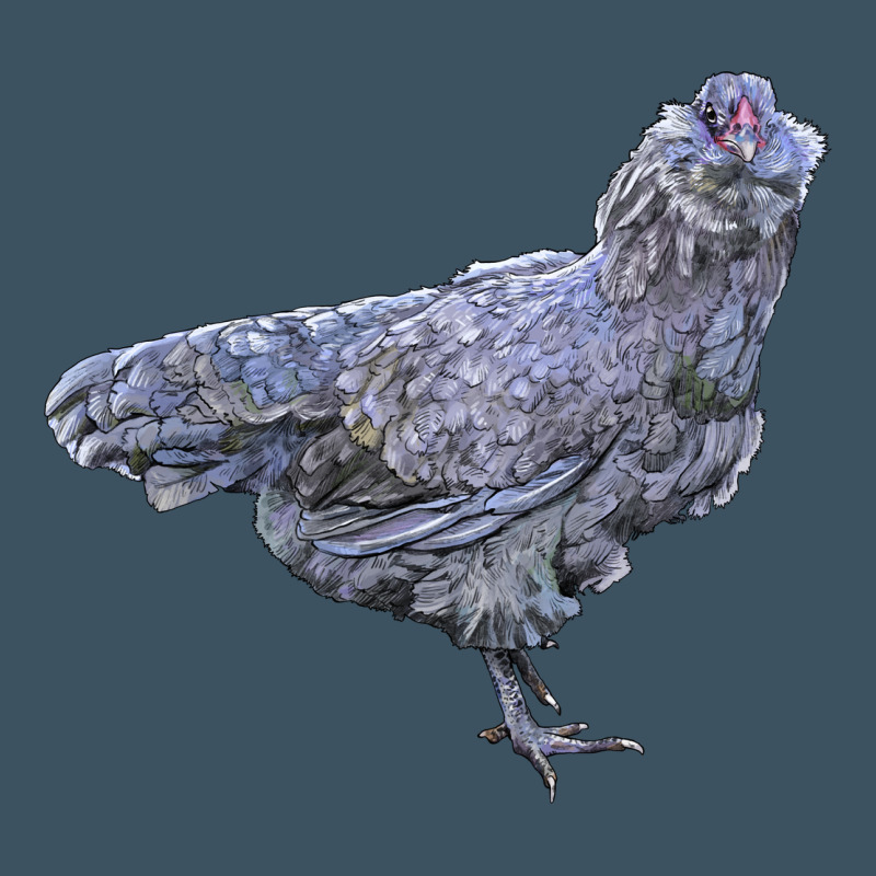 Ameraucana Chicken Urban Heavy Tee by LillyAllenDesigns | Teevron