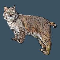 Bobcat Urban Heavy Tee | Teevron